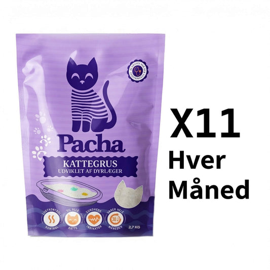 11 katte