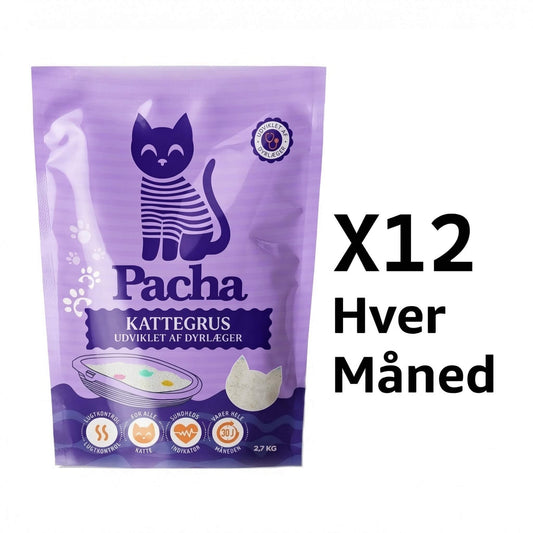 12 katte