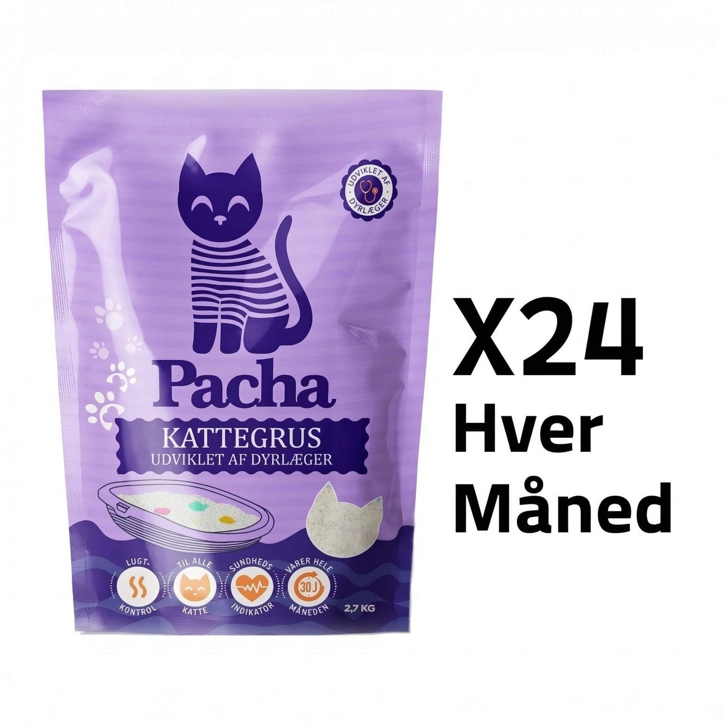 24 katte